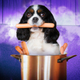 Illustration for article titled Lets settle the debate: Is hot dog water broth or stock?